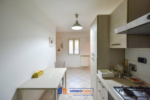 immagine annuncio 3 di 14