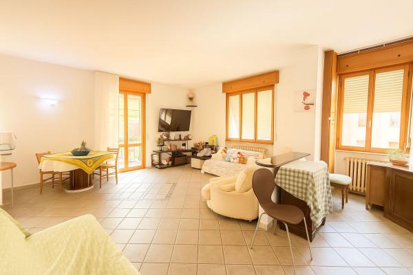 immagine annuncio 3 di 11