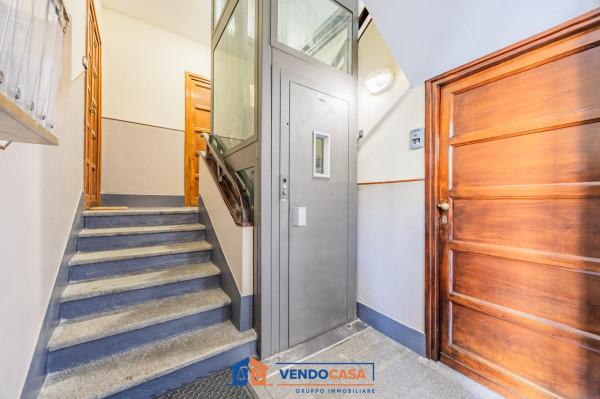 immagine annuncio 6 di 14