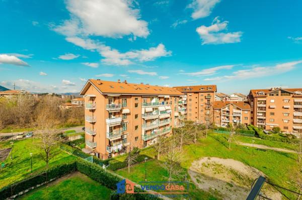 immagine annuncio 6 di 14