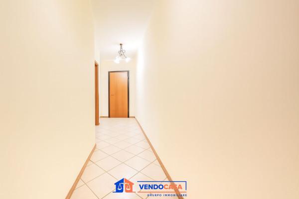 immagine annuncio 7 di 14