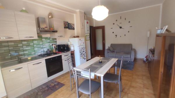 immagine annuncio 5 di 13