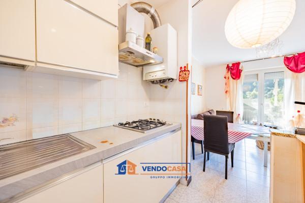 immagine annuncio 5 di 15