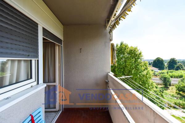 immagine annuncio 13 di 15