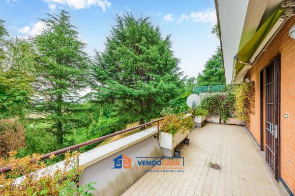 immagine annuncio 7 di 15