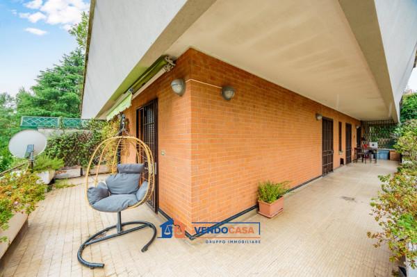 immagine annuncio 5 di 15