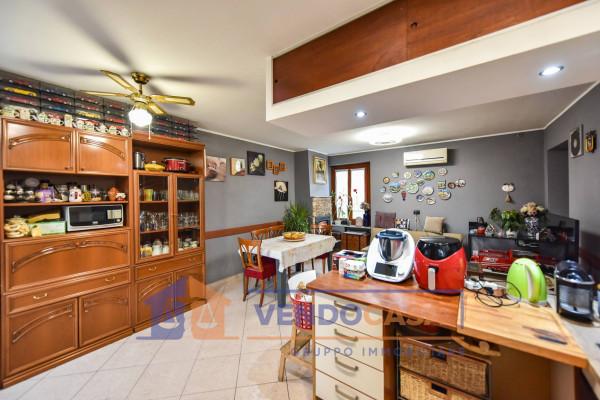 immagine annuncio 6 di 14