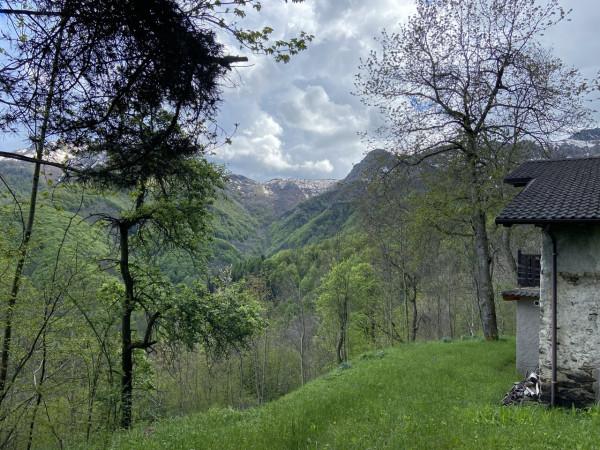 immagine annuncio 11 di 12