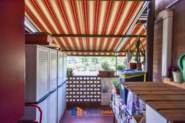 immagine annuncio 7 di 15