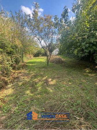 immagine annuncio 4 di 8