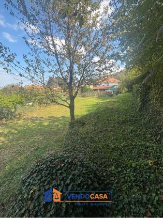 immagine annuncio 4 di 9