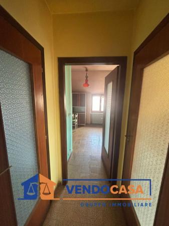 immagine annuncio 5 di 14