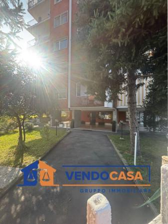 immagine annuncio 1 di 14