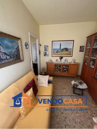 immagine annuncio 8 di 14