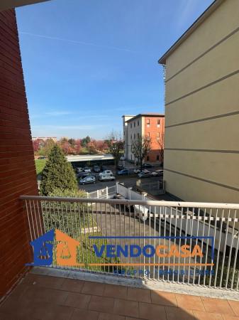 immagine annuncio 12 di 14