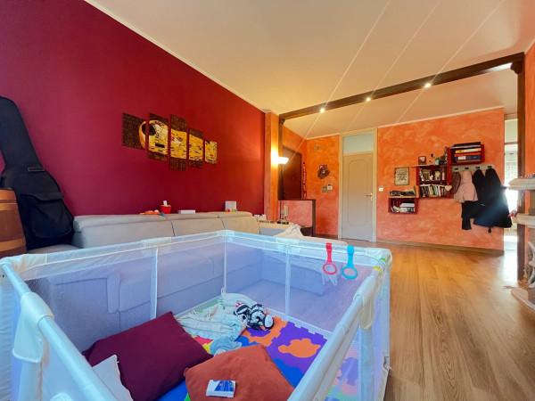 immagine annuncio 12 di 15