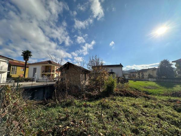 immagine annuncio 4 di 7