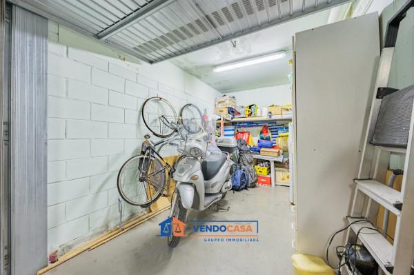 immagine annuncio 12 di 15