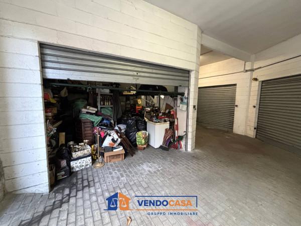 immagine annuncio 4 di 14