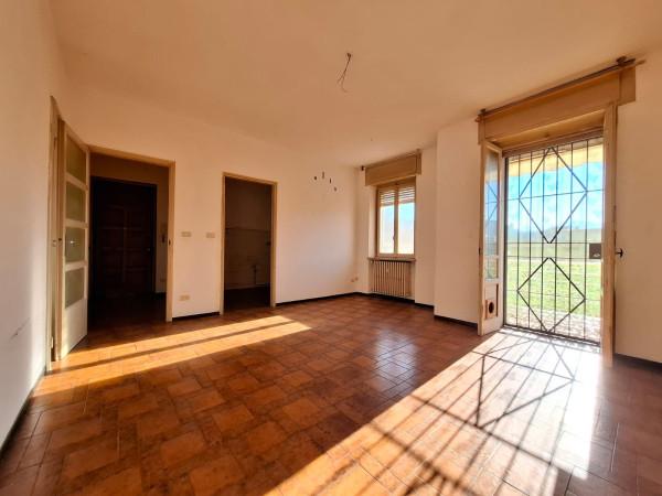 immagine annuncio 11 di 14