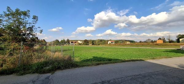 immagine annuncio 3 di 8