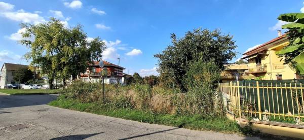 immagine annuncio 7 di 8