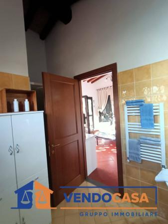 immagine annuncio 10 di 11