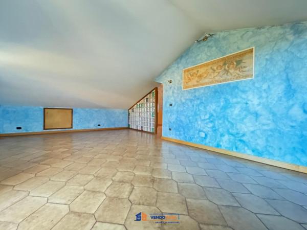 immagine annuncio 5 di 12