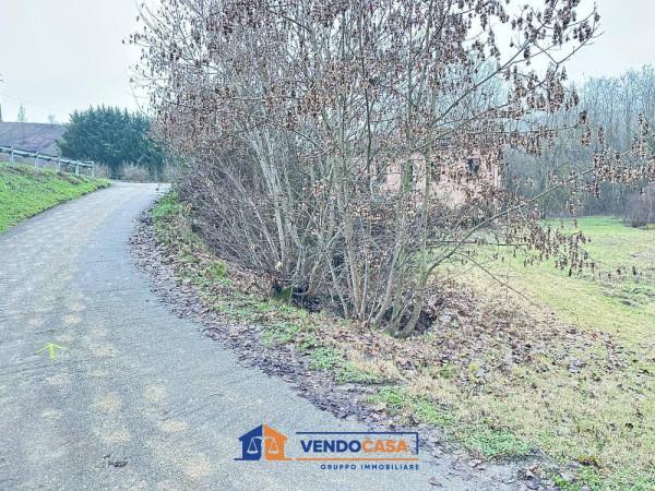 immagine annuncio 11 di 15