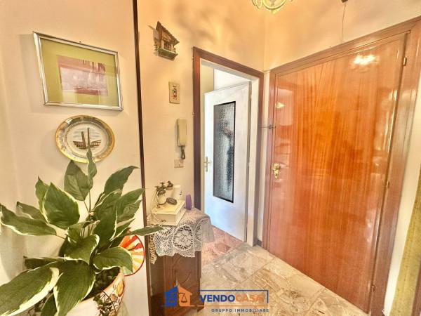 immagine annuncio 10 di 14