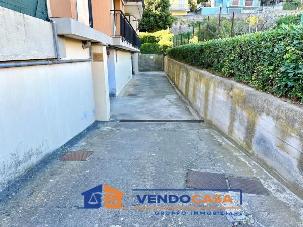 immagine annuncio 5 di 7