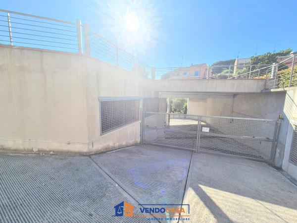 immagine annuncio 4 di 8