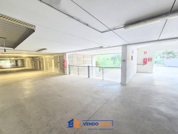 immagine annuncio 4 di 6