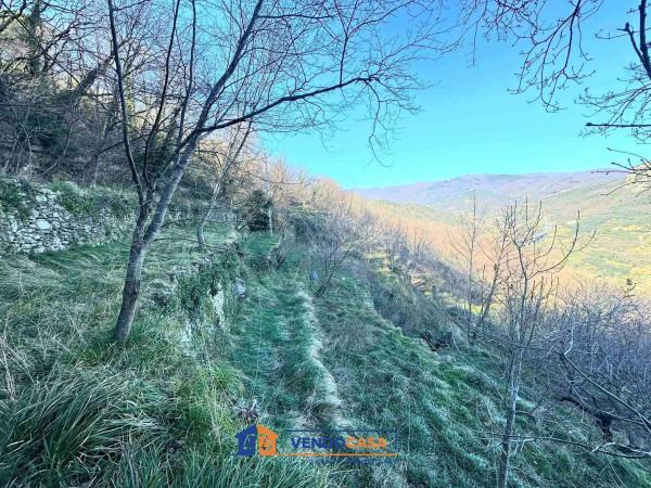 immagine annuncio 4 di 7