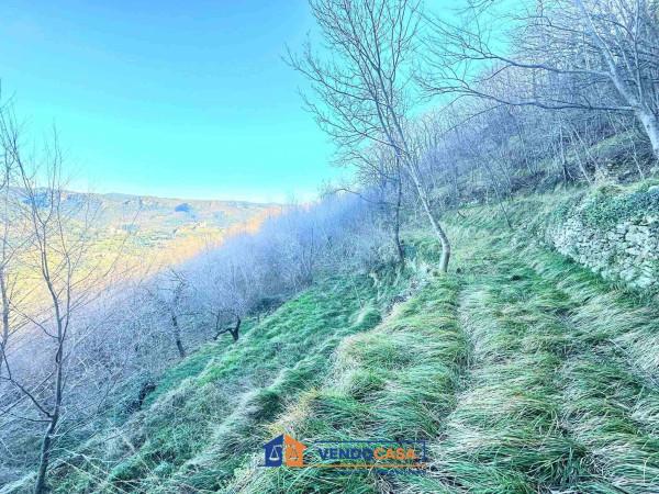 immagine annuncio 3 di 7