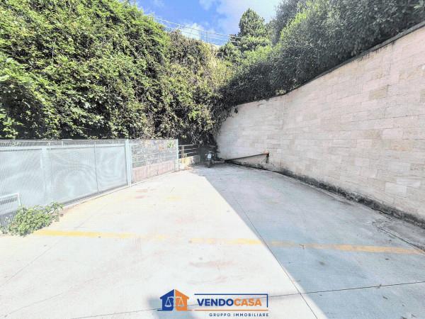 immagine annuncio 2 di 7