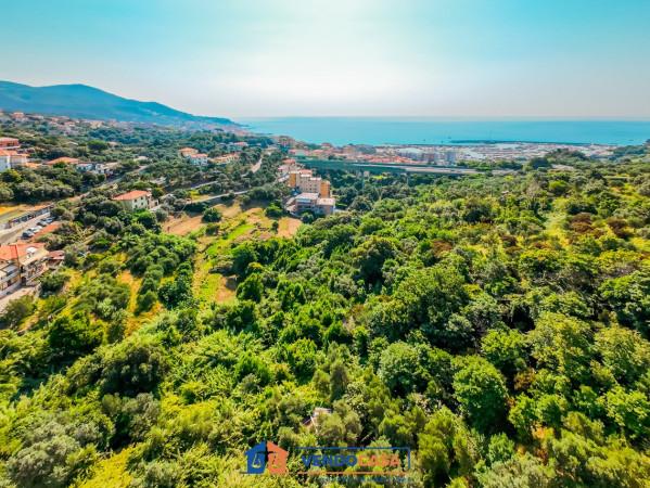 immagine annuncio 8 di 13