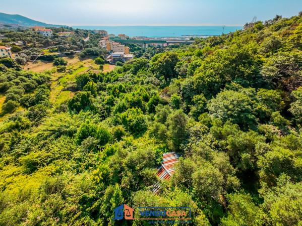 immagine annuncio 12 di 13