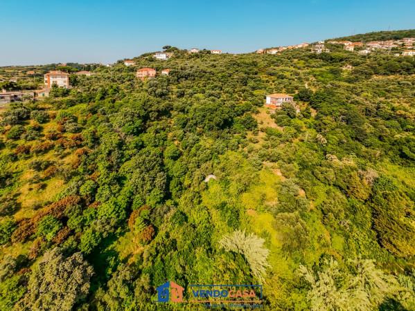 immagine annuncio 10 di 13