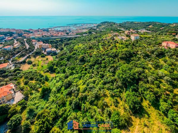 immagine annuncio 11 di 13