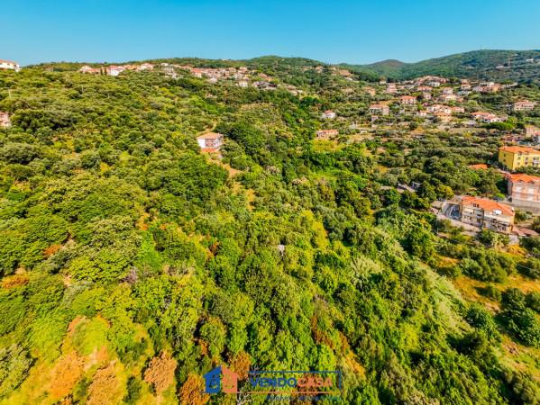 immagine annuncio 9 di 13