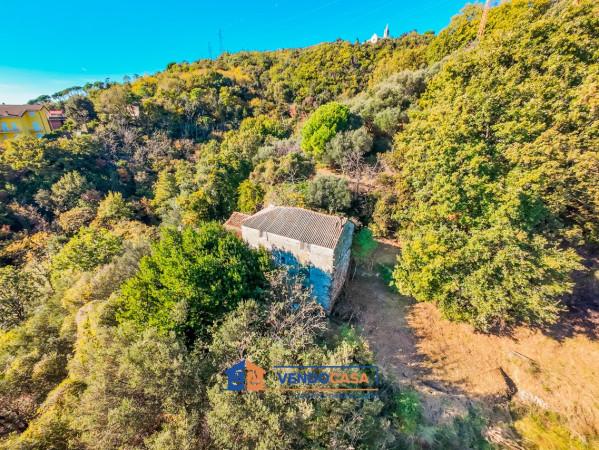 immagine annuncio 4 di 14