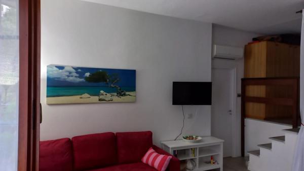 immagine annuncio 9 di 13