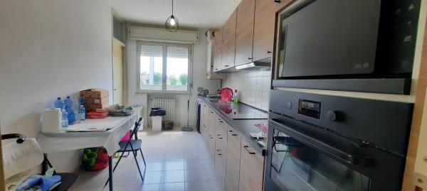 immagine annuncio 9 di 13