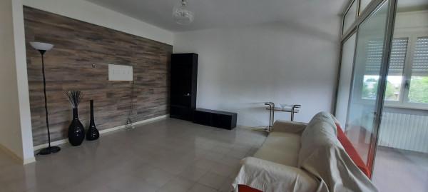 immagine annuncio 7 di 12