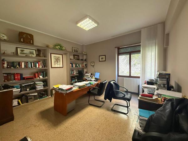 immagine annuncio 11 di 14