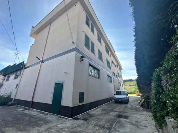 Ufficio in Viale Emilia 100, Catanzaro, {3} - Foto 2