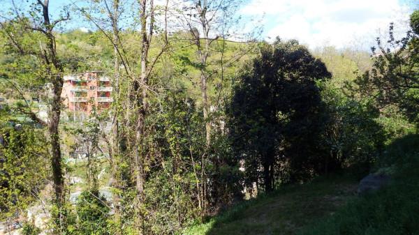 immagine annuncio 7 di 12