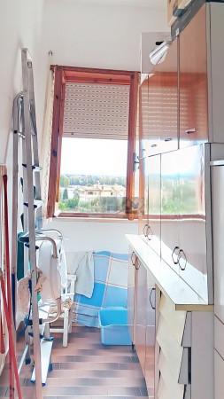 immagine annuncio 13 di 14