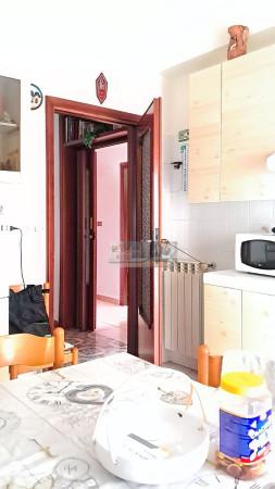 immagine annuncio 11 di 14